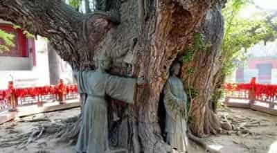 七搂八揸一媳妇