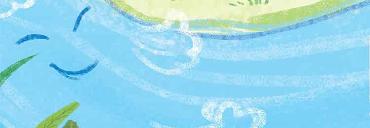 爱干净的小溪 爱干净的小溪