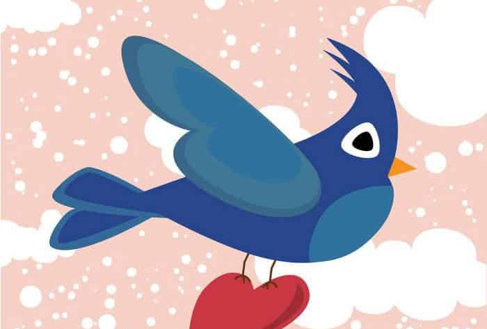 小兔子的大花园