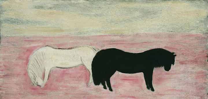 白马和黑马 白马和黑马