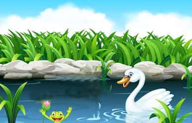 小耳朵和小嘴巴