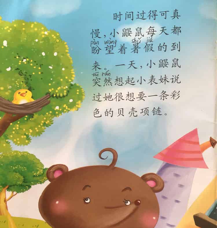 彩色的贝壳项链