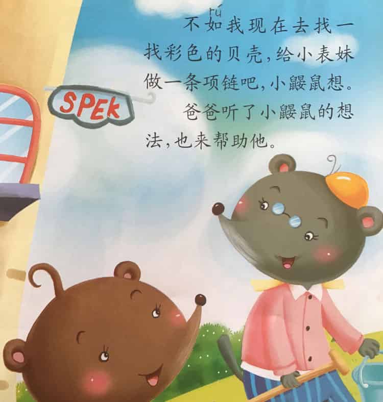 彩色的贝壳项链