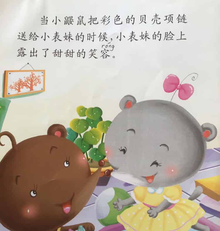 彩色的贝壳项链