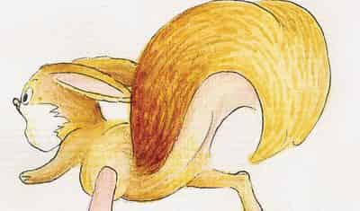 大尾巴松鼠小尾巴兔 大尾巴松鼠小尾巴兔