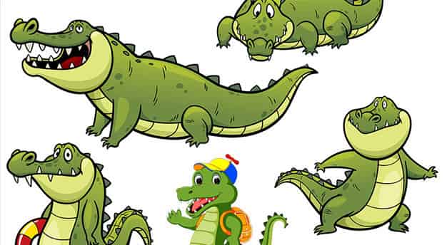 只有一条鳄鱼愿意