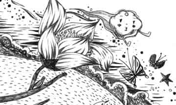 风姐姐，对不起