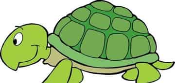 会想办法的小乌龟