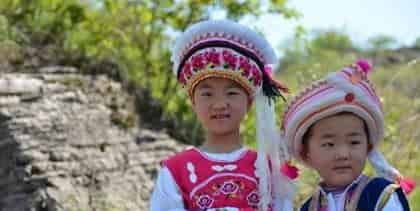 布依族历史，布依族人口有多少分布在哪里