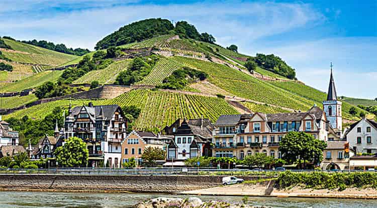 尖顶屋子里的艾艾猫和平顶屋子里的比比狗 尖顶屋子里的艾艾猫和平顶屋子里的比比狗