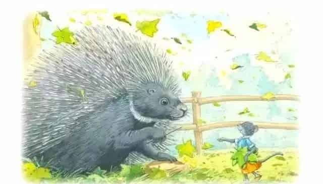 老鼠小姐的外套