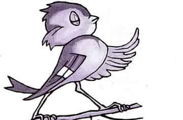 麻雀的叹息 麻雀的叹息