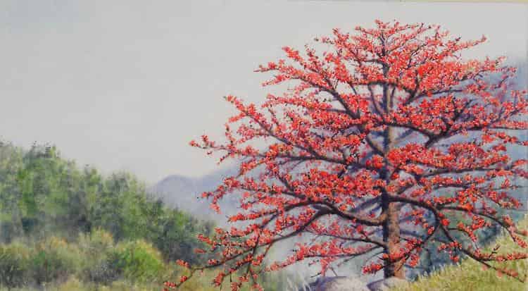 风姐姐，对不起