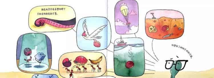 弄丢了壳的小乌龟