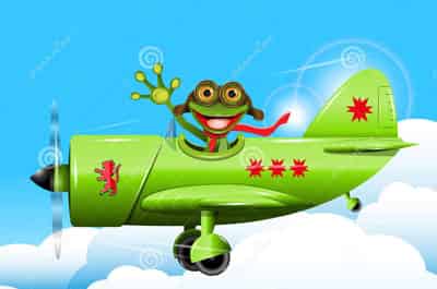 青蛙飞行员 青蛙飞行员