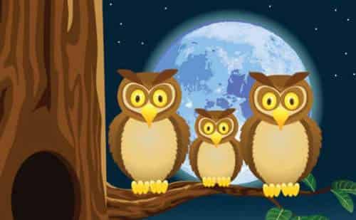 森林里的卫士 森林里的卫士