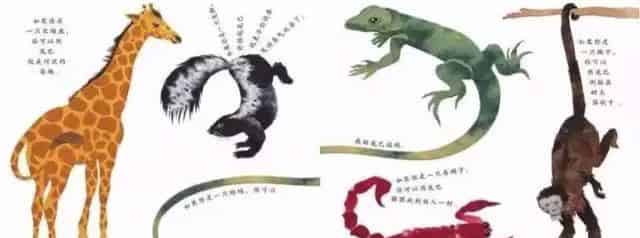 这样的鼻子可以做什么？