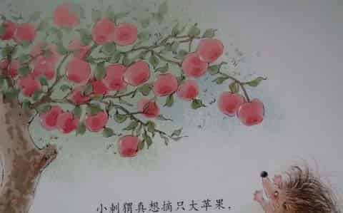 小刺猬摘果子