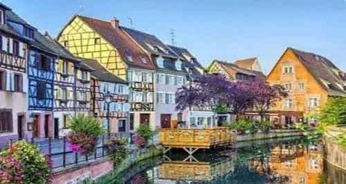 峡谷小镇的紫色花