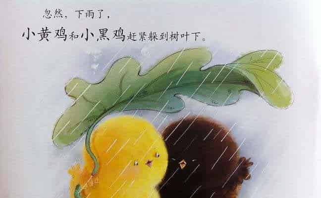 小黄鸡和小黑鸡