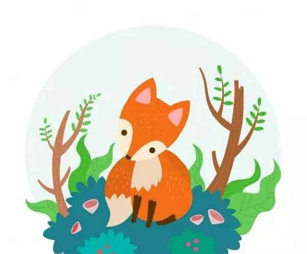 小狐狸的愿望灯