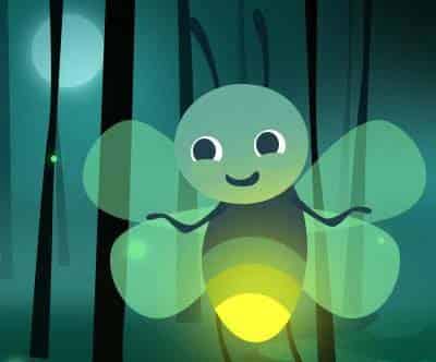 小狐狸的愿望灯