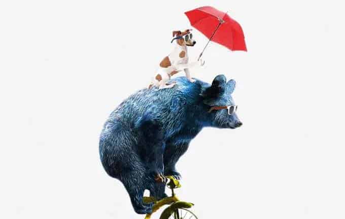 马戏场上的小黑熊