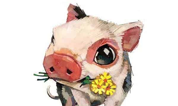 小花猪有办法 小花猪有办法