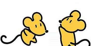 吵架的老鼠 吵架的老鼠