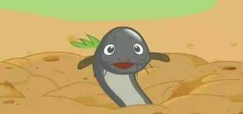 小泥鳅和小鲤鱼