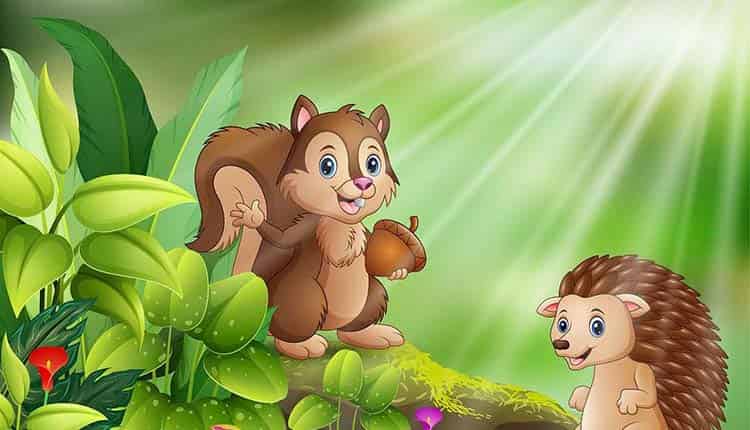 狮子回赠的礼物 狮子回赠的礼物