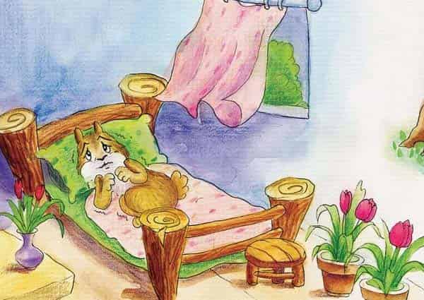 大尾巴松鼠小尾巴兔 大尾巴松鼠小尾巴兔