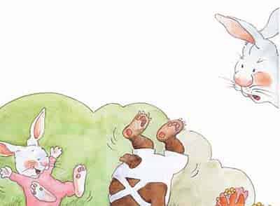 小熊的屁股没有了