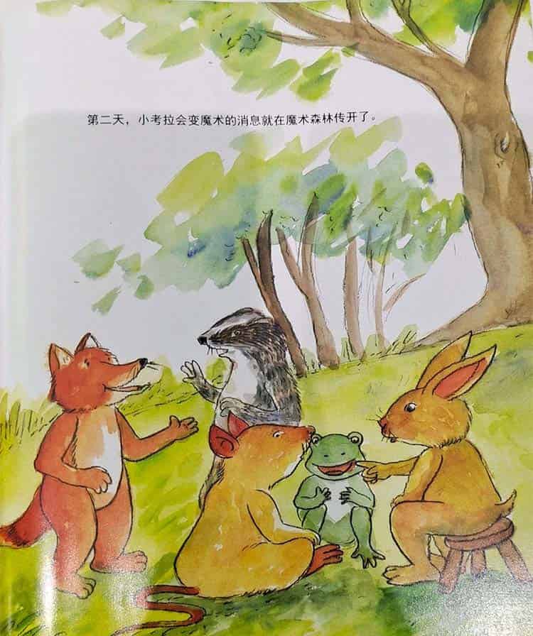 想学魔术的小考拉