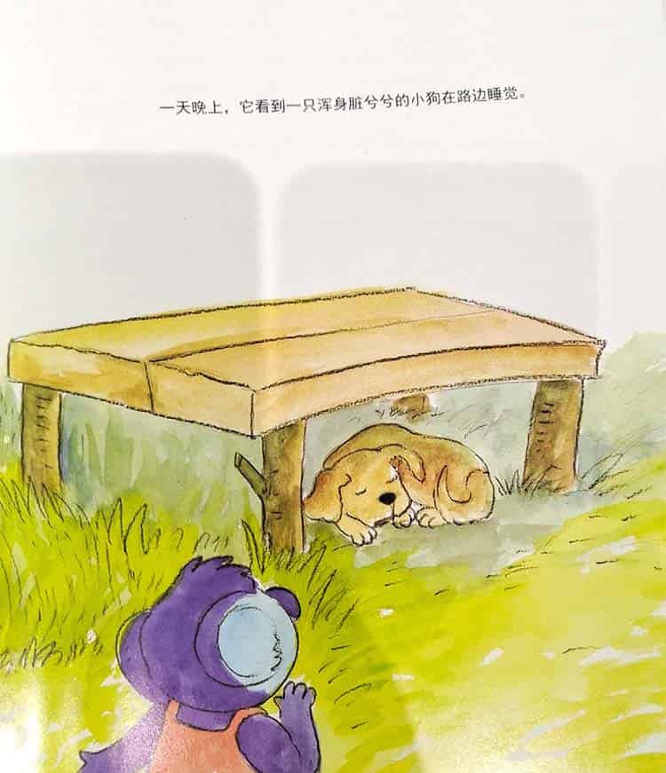 想学魔术的小考拉