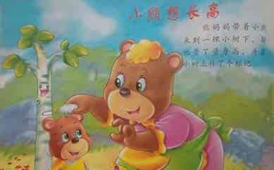 长不高的小熊