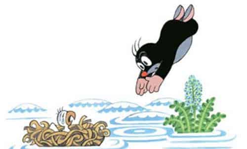 鼹鼠和小鸟宝宝(鼹鼠和老鹰) 鼹鼠和小鸟宝宝(鼹鼠和老鹰)