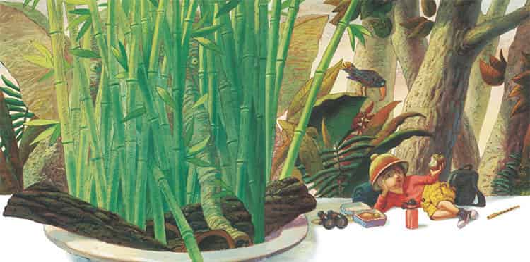 怎样找到一头大象