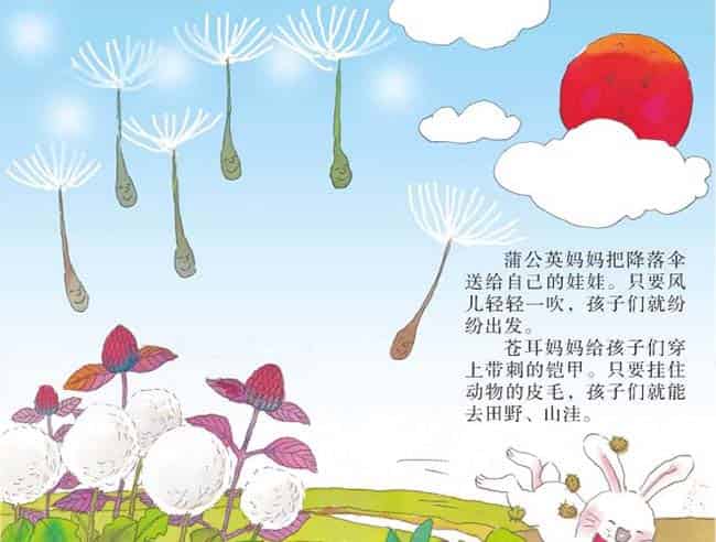 种子的旅行 种子的旅行