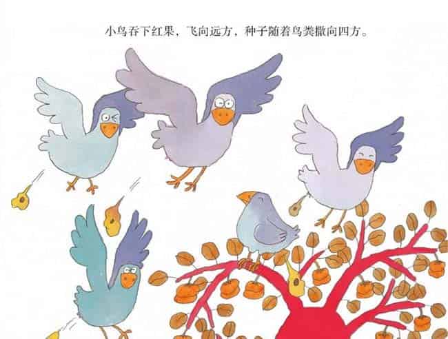 种子的旅行 种子的旅行