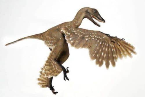 世界十大最著名恐龙（始祖鸟会飞秀颌龙体型小）