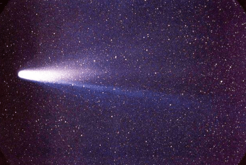 发现彗星（发现彗星最多的人）
