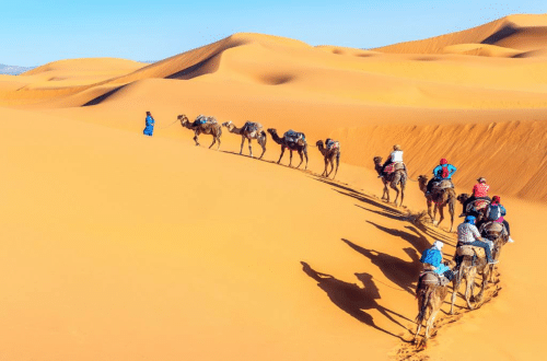 世界十大沙漠，哪个沙漠最大？