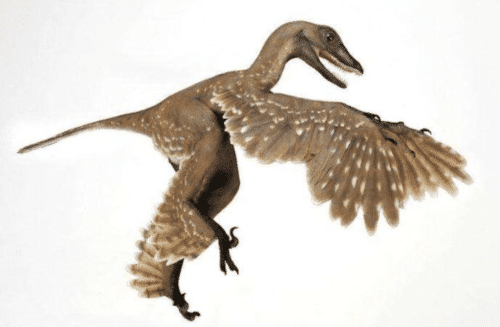 世界十大恐龙（始祖鸟会飞秀颌龙体型小）