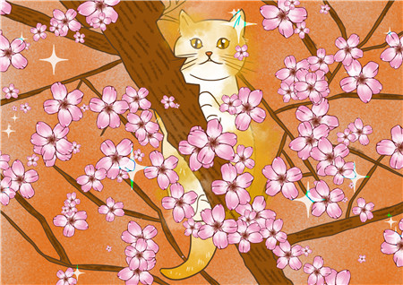 小花猫拉拉的故事