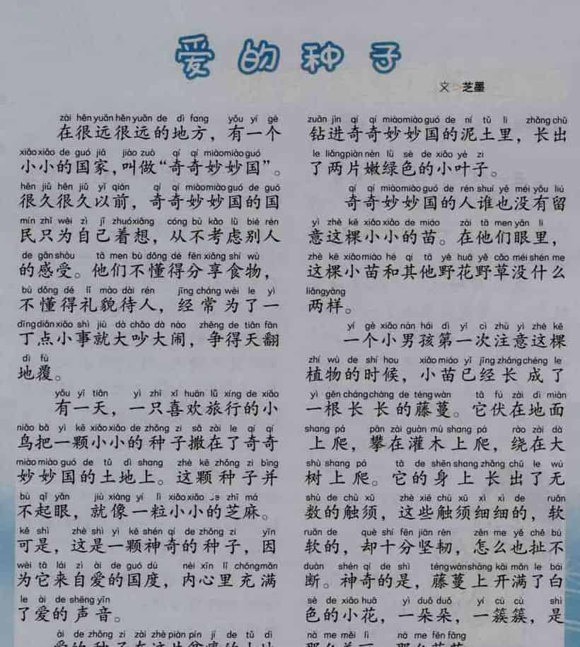 爱的种子