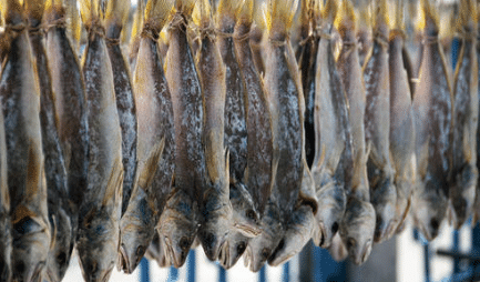“咸鱼”听起来似乎很普通，为何在古代却不是一般人能吃的？
