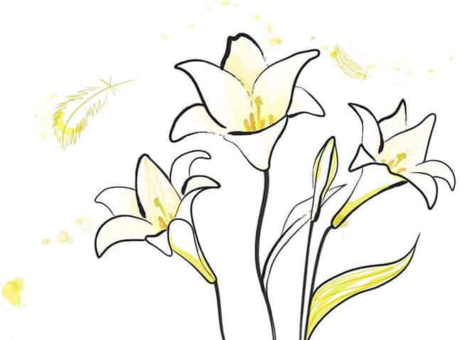 狐狸笨笨的百合花原野 狐狸笨笨的百合花原野