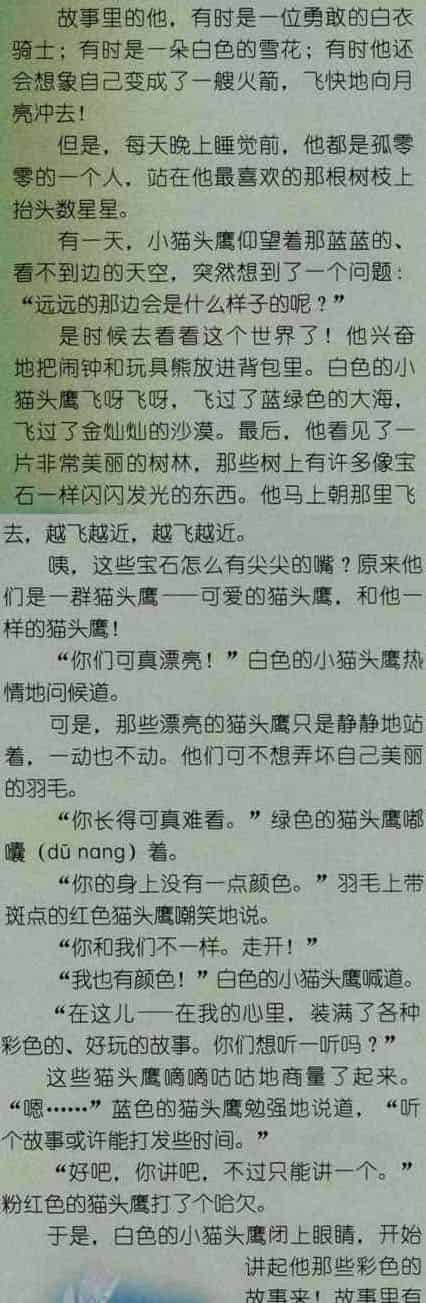 白色的小猫头鹰