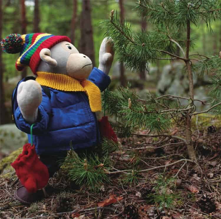 波比在树林里散步